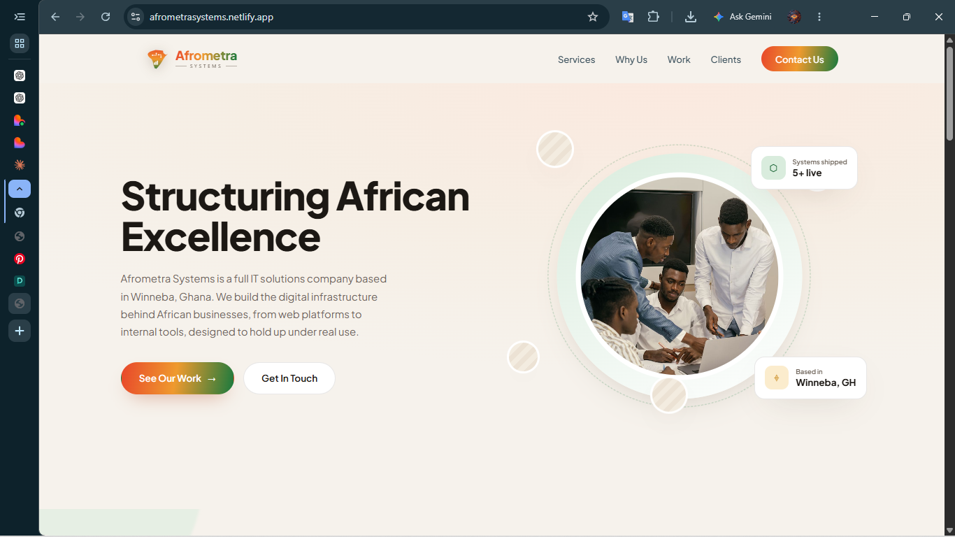 Afrometra Systems website